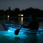 Bioluminescent Bay in Vieques