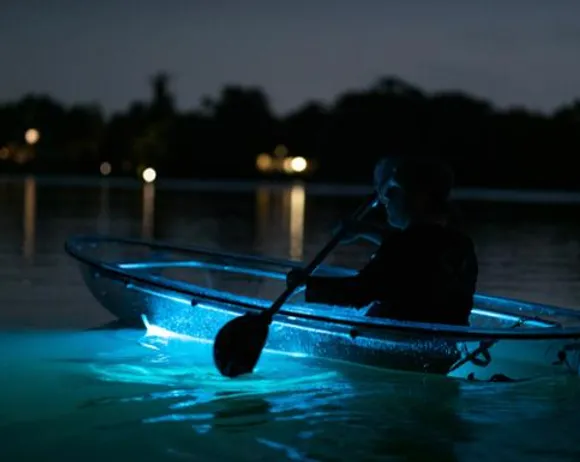 Bioluminescent Bay in Vieques