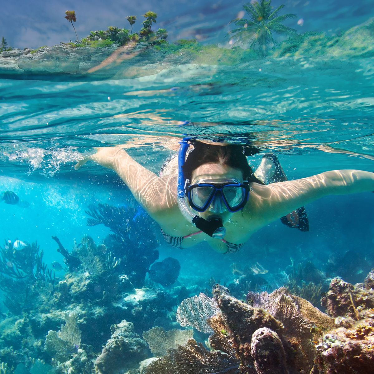 Snorkeling Tour on Vieques