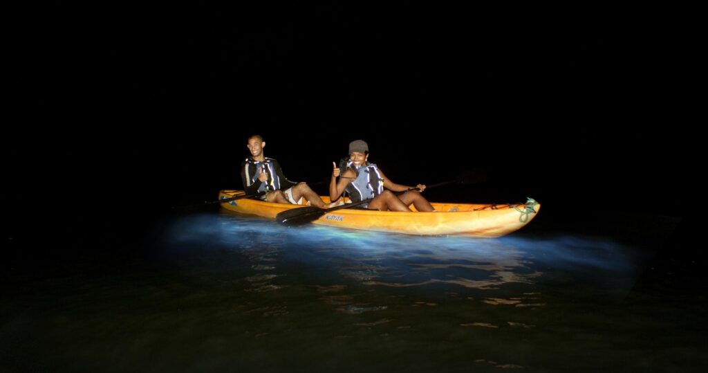 Bioluminescent Bay in Vieques