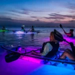 Kayak Night Tour on Vieques