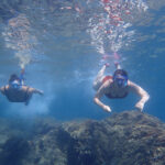 Snorkeling and Kayaking Tours