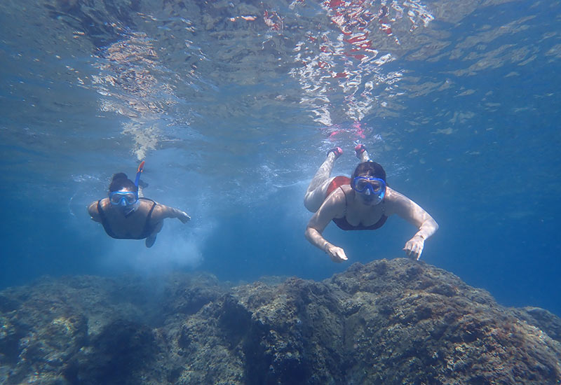 Snorkeling and Kayaking Tours