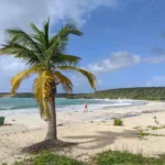 Bioluminescent Bay on Vieques