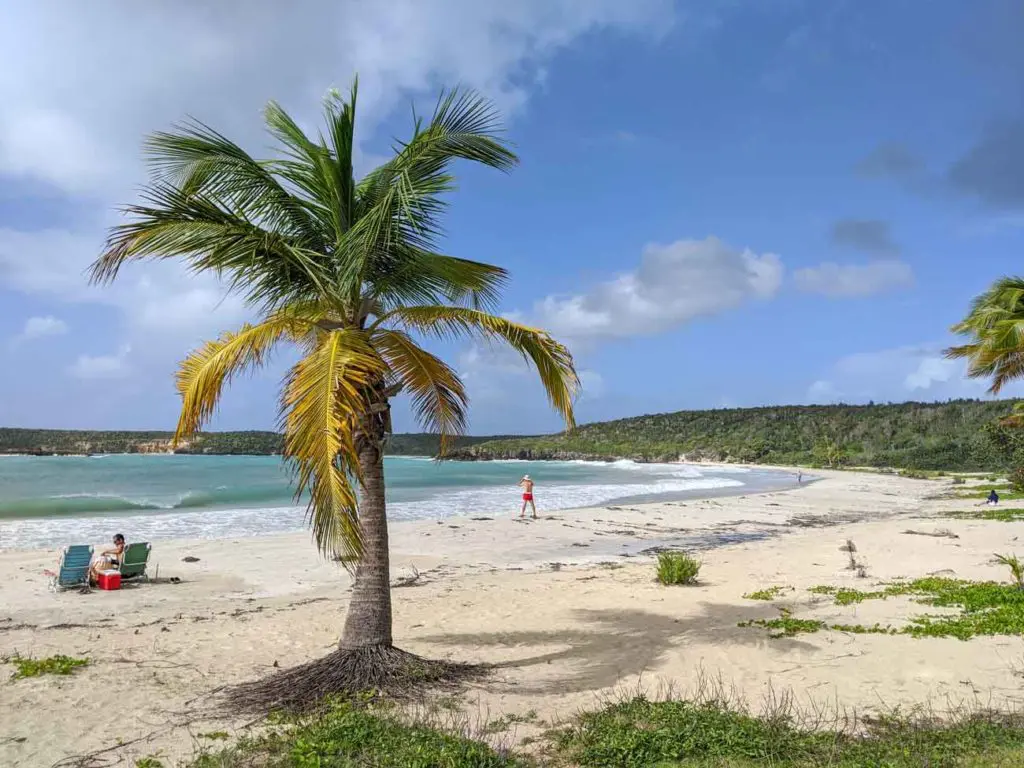 Bioluminescent Bay on Vieques